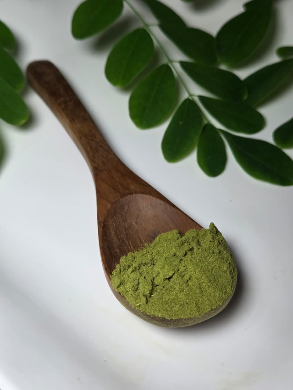 moringa exporter